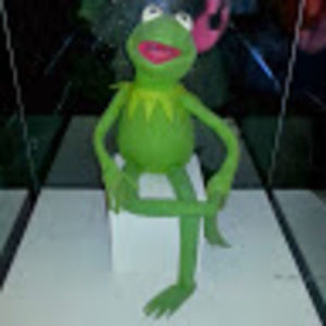 Meet your Posher, Sherry